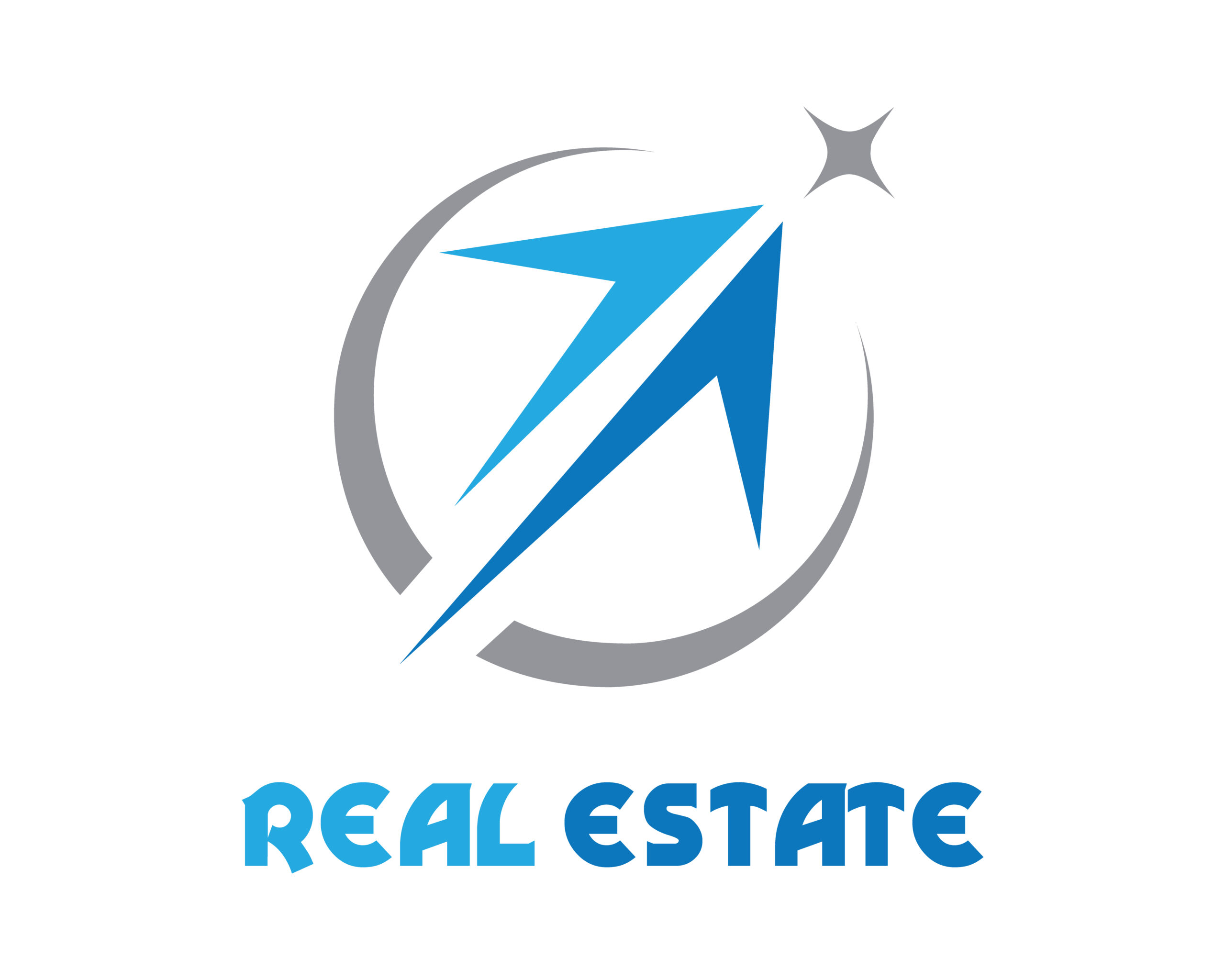 vecteezy_professional-real-estate-logo-design_29943234